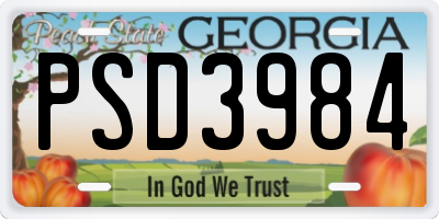 GA license plate PSD3984