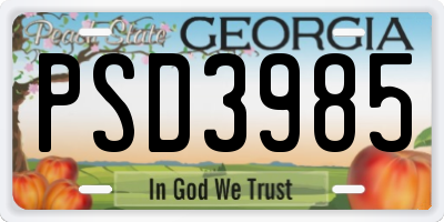 GA license plate PSD3985