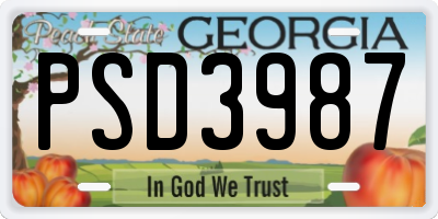 GA license plate PSD3987