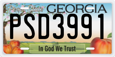 GA license plate PSD3991