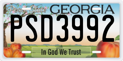GA license plate PSD3992
