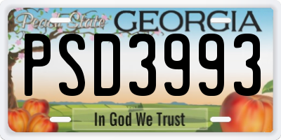 GA license plate PSD3993