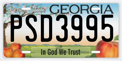 GA license plate PSD3995