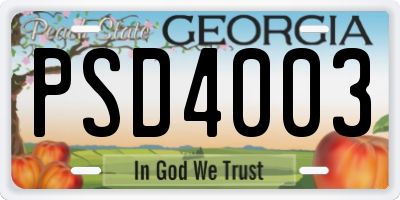 GA license plate PSD4003