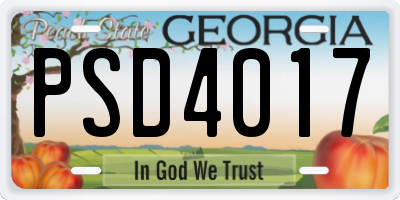 GA license plate PSD4017