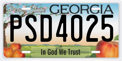 GA license plate PSD4025