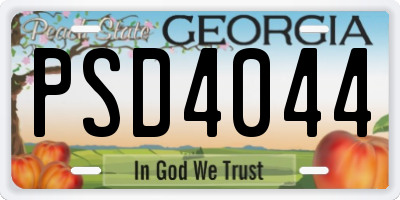 GA license plate PSD4044