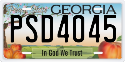 GA license plate PSD4045