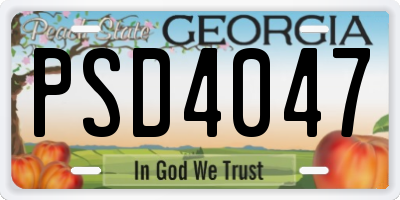 GA license plate PSD4047