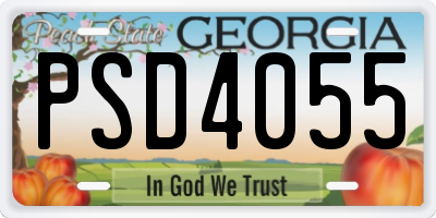 GA license plate PSD4055