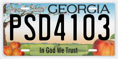 GA license plate PSD4103