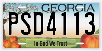 GA license plate PSD4113