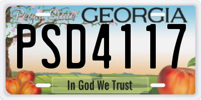 GA license plate PSD4117
