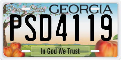 GA license plate PSD4119