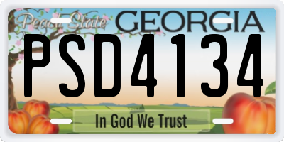 GA license plate PSD4134