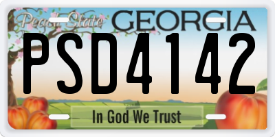 GA license plate PSD4142