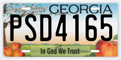 GA license plate PSD4165