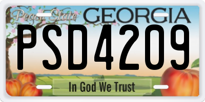 GA license plate PSD4209