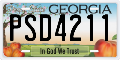 GA license plate PSD4211