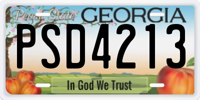 GA license plate PSD4213