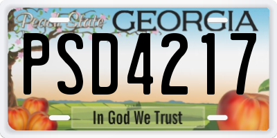 GA license plate PSD4217