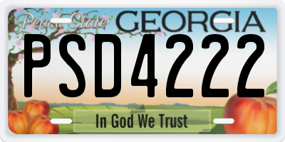 GA license plate PSD4222