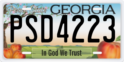 GA license plate PSD4223