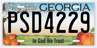 GA license plate PSD4229