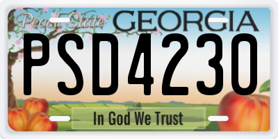 GA license plate PSD4230