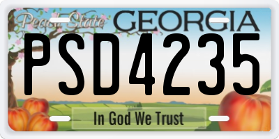 GA license plate PSD4235