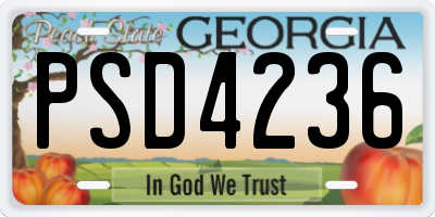 GA license plate PSD4236
