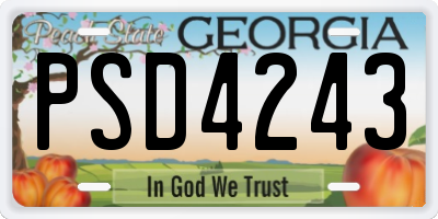 GA license plate PSD4243
