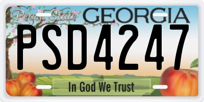 GA license plate PSD4247