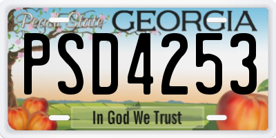 GA license plate PSD4253