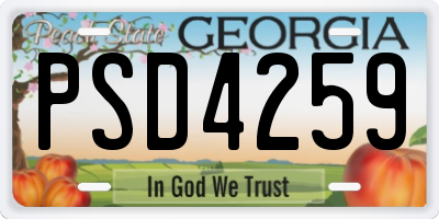 GA license plate PSD4259