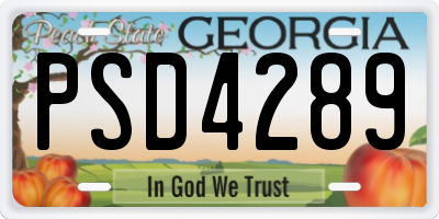 GA license plate PSD4289