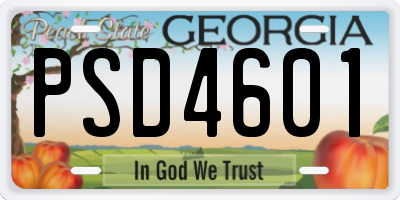 GA license plate PSD4601