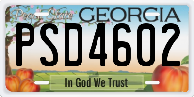 GA license plate PSD4602