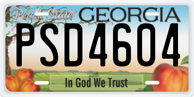 GA license plate PSD4604