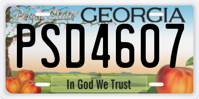 GA license plate PSD4607
