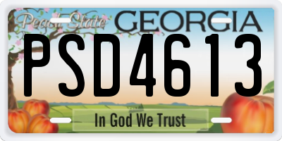 GA license plate PSD4613