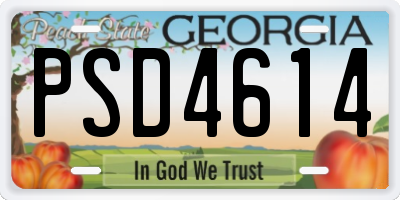 GA license plate PSD4614