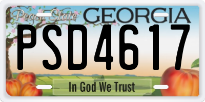 GA license plate PSD4617