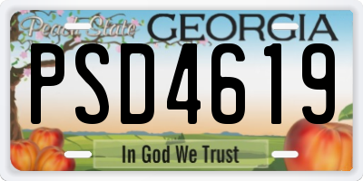 GA license plate PSD4619