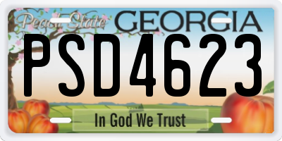 GA license plate PSD4623