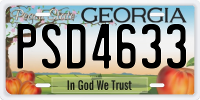 GA license plate PSD4633