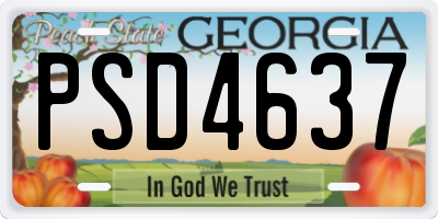 GA license plate PSD4637
