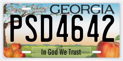 GA license plate PSD4642