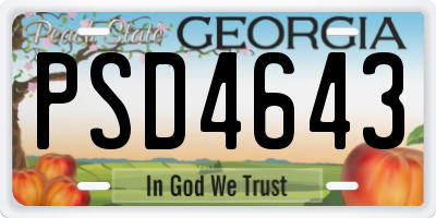 GA license plate PSD4643