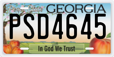 GA license plate PSD4645